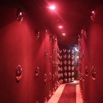 ピアジェの写真☆