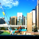 久しぶりに晴れた♪