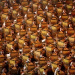 今週のHN＠AGEHAは