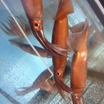 週末日記 函館編