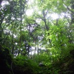 週末日記　前編