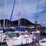 summer summer summer